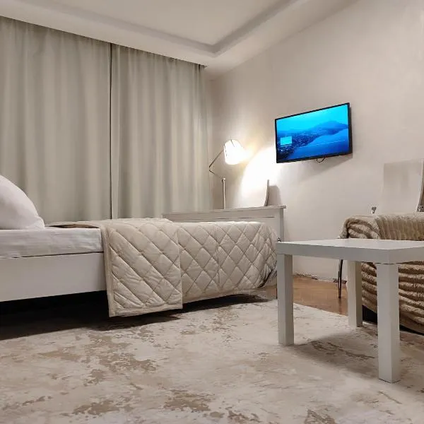 Двухкомнатная на 1м этаже Нивки, hotel in Kyiv