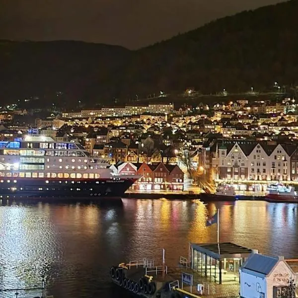 Central, lovely apartment with a unique view, hotel in Bergen