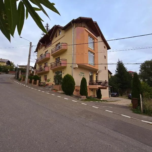 Pensiunea Valea Alba, Hotel in Buşteni