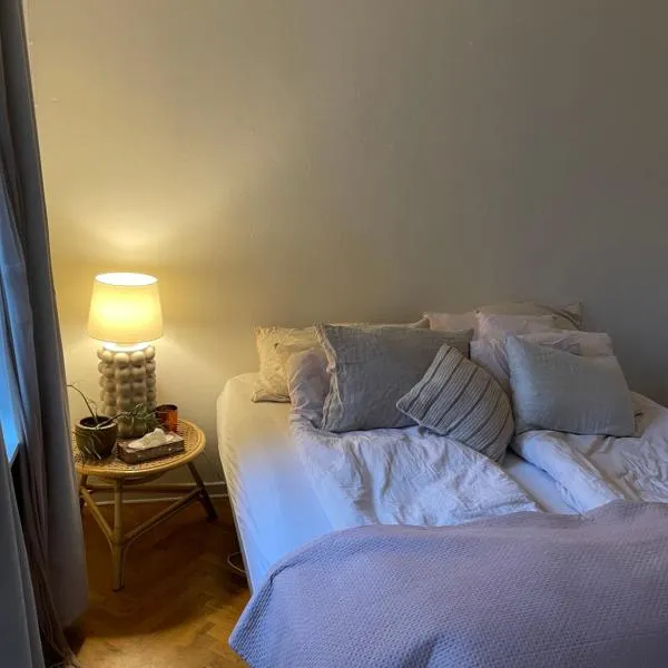 Stort værelse udlejes i herskabslejlighed midt i Odense by, ξενοδοχείο στο Όντενσε