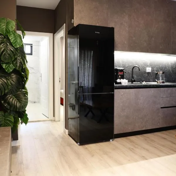 Meli Deluxe Apartments, hotel in Tirana