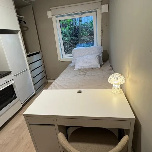 Studio in Oslo, hotel en Oslo