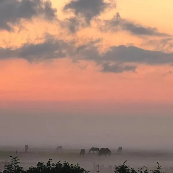 Ut ânker fan de Jong, hôtel à Hollum