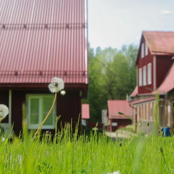 Voore Puhkekeskus, hotel v destinaci Voore