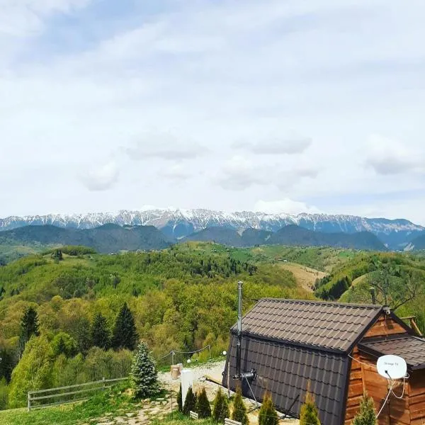 Cabanuta din munti, hotel sa Moieciu de Jos