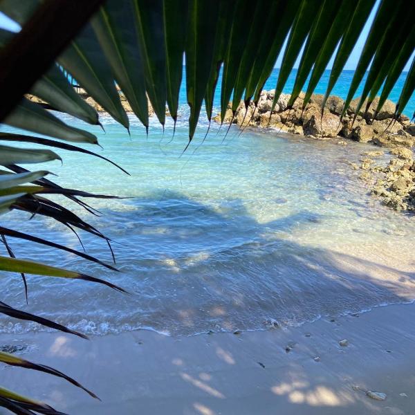 Beachfront home near Dunns River Falls, Tower Isle