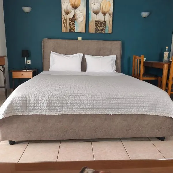 Zisis Garden Studios – hotel w mieście Janina