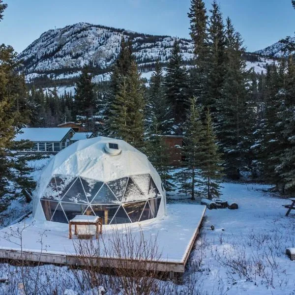 Little Atlin Lodge, ξενοδοχείο σε Tagish