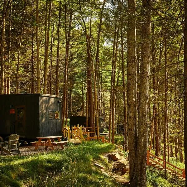 Postcard Cabins Western Catskills, Outdoor Collection by Marriott Bonvoy, hotel in Roscoe