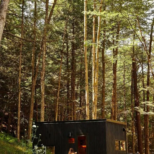 Postcard Cabins Eastern Catskills, Outdoor Collection by Marriott Bonvoy, hotel in Catskill