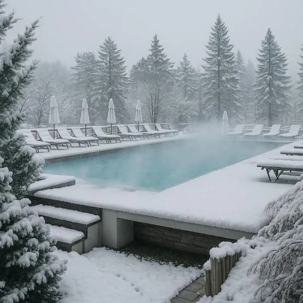 Hotel Baia Rosie Resort, Hotel in Slănic