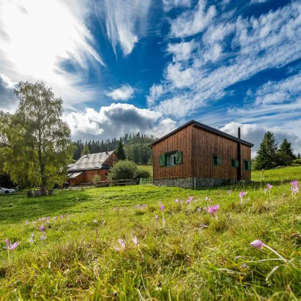 Palčovka - apartmán U Štěpána a U Dorotky, hotell sihtkohas Huty