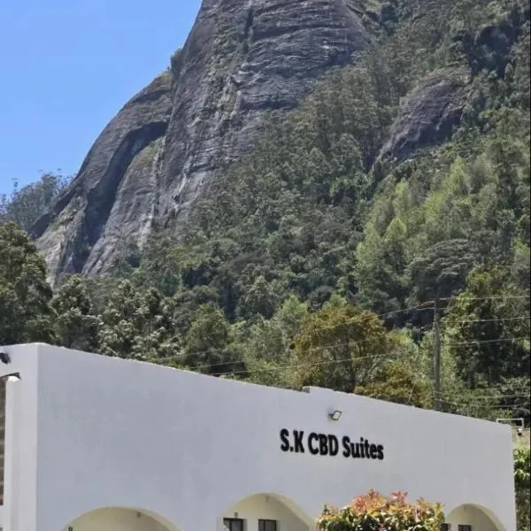 SK CBD Suites airb Wundanyi Taita Taveta County, hótel í Wundanyi