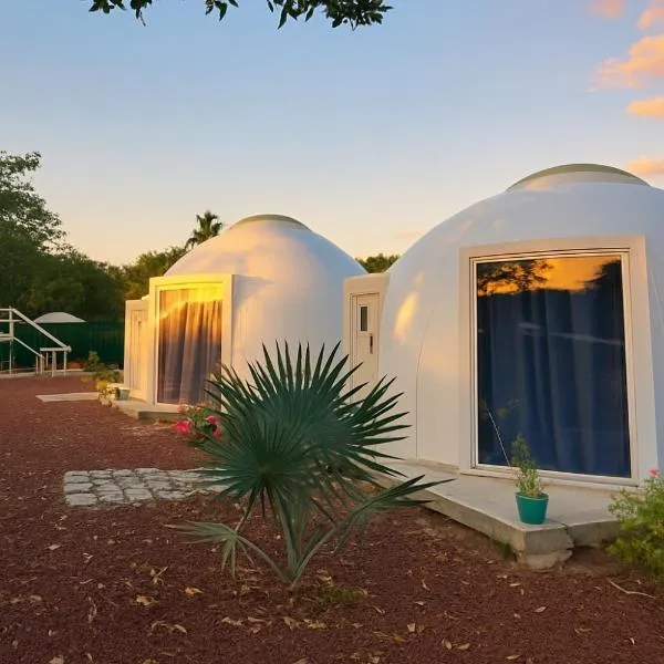 Iglú Sparrow vista al cielo，位于巴拉德纳维达的酒店