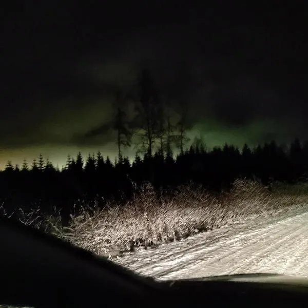 Chez-Nous Äänekoski, Hotel in Äänekoski