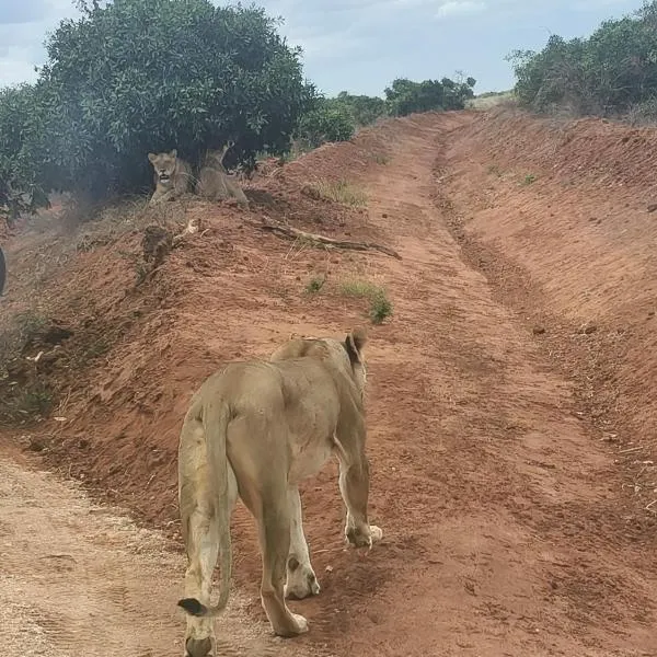Tausa Tsavo Eco Lodge, hotel v destinaci Voi