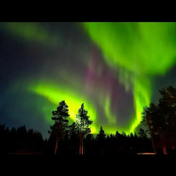 Tervetuloa nauttimhaan puhtaasta luonnosta Pelhoon, hotel em Saukkooja
