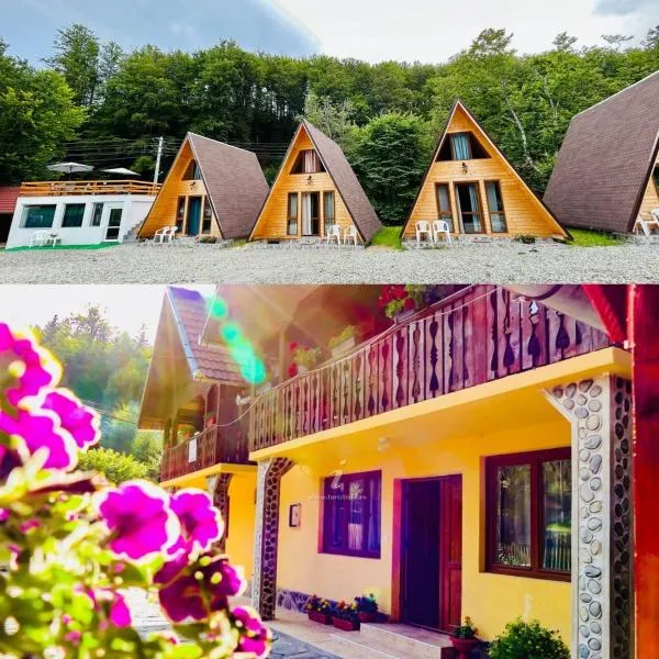 Casa Ursu, hotell sihtkohas Cârțișoara