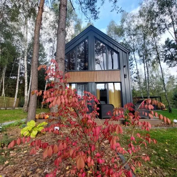 Leśne Domki, hotel in Życiny