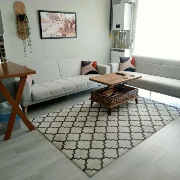 Ankara Esenboğa Airport Comfort Suites, hotel em Ancara