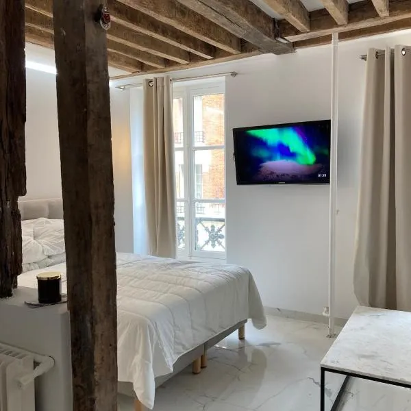 Comfortable studio Place des Vosges - Marais, hotel en París