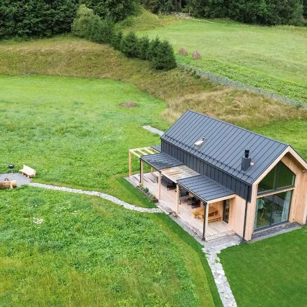 Vama Chalet, hotel v destinaci Vama Buzăului