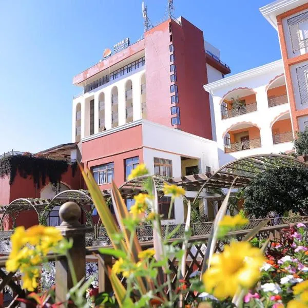 Pyramid Hotels & Resorts, hotel u gradu 'Debre Zeyit'