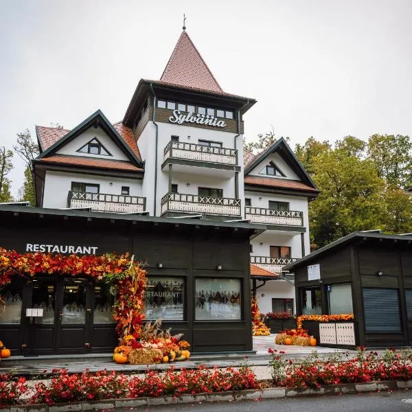 Pensiunea Sylvania, hotel in Sovata