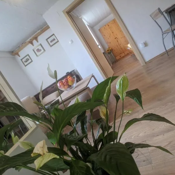 Twin Magnolias Condo, hotel in Zagreb
