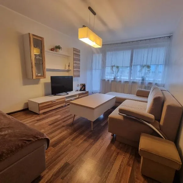 Airida Forest Apartment, hotel in Druskininkai