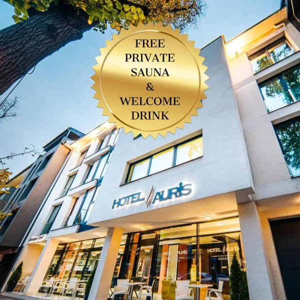 Hotel Auris、セゲドのホテル