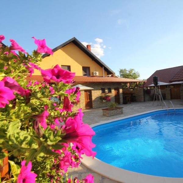 Guest House Vila Alexandar