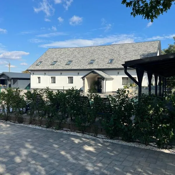 Pensiunea Olympia Nădab, hotel in Nădab