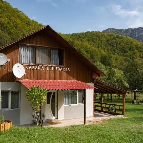 Cabana lui Foardă, Hotel in Motru Sec
