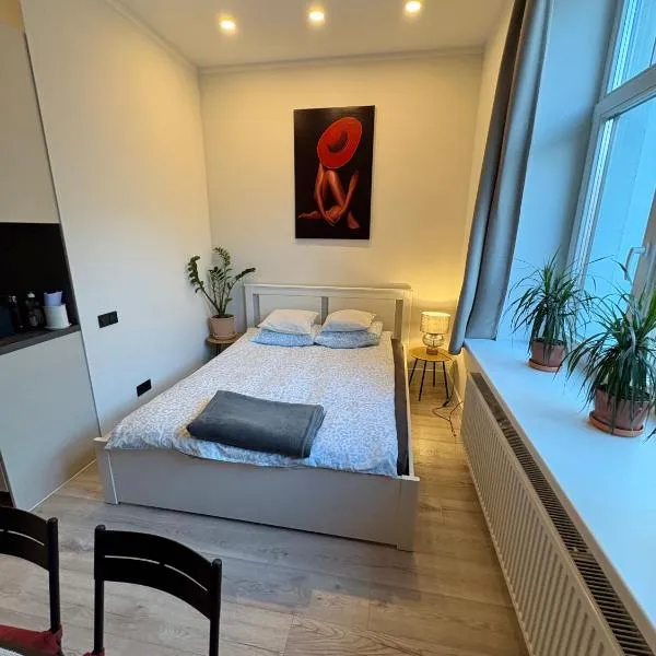 Apartment Matīsa, hotel en Riga