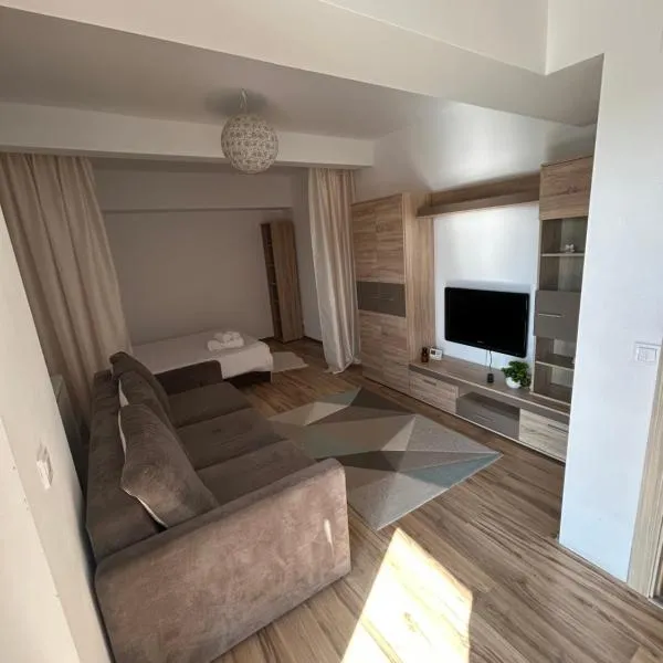 Apartament 1 camera Rivers Towers cu parcare privată, hotel in Iaşi