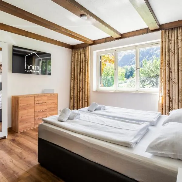 homy MontaVista - 300m zur Golmerbahn, hotel v destinaci Vandans