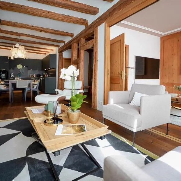 Central Chalet Rooftop Maisonette in Old Town, hotel in Zürich