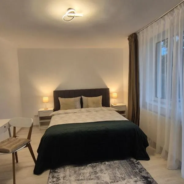 Alecsandri Residence 2: Bacău şehrinde bir otel