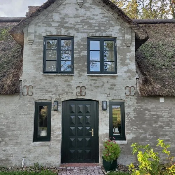 Alte Schmiede, ξενοδοχείο σε Witzwort