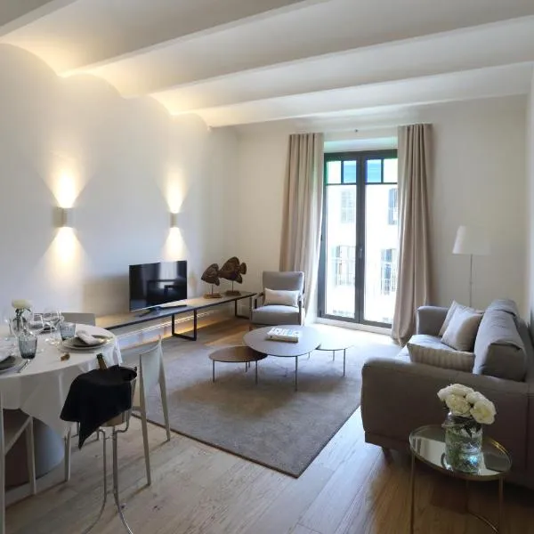 Apartaments Plaça Del Vi, hotel in Girona