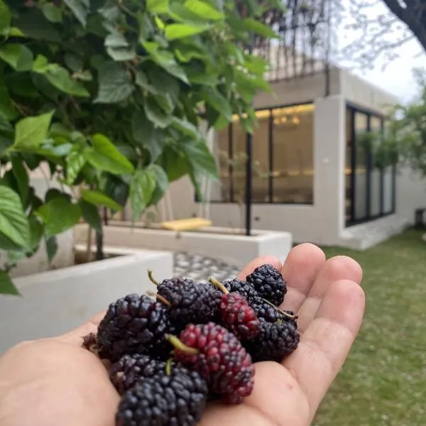 غصن الهدا, hotel in Al Hada