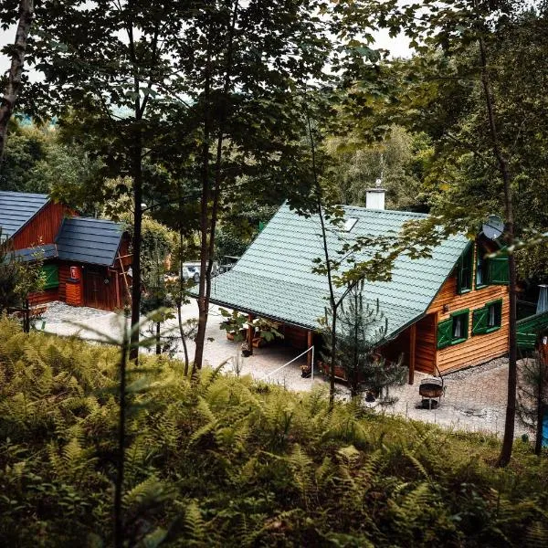 Świerkowe Zacisze Domki, Hotel in Budzów