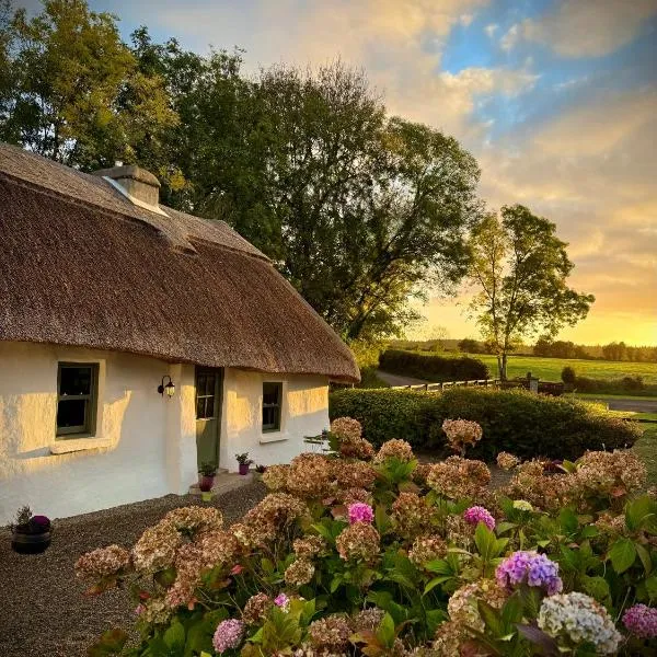 Murphys Thatched Cottage, hôtel à Mitchelstown