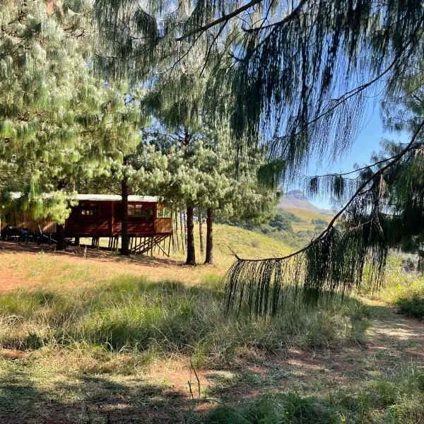 Dargle Forest Lodge, hotell sihtkohas Dargle