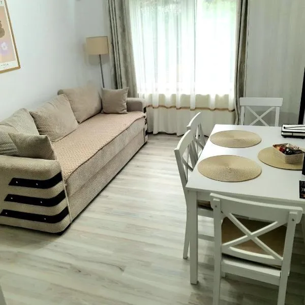 Relax Apartament Bicaz、ビカズのホテル