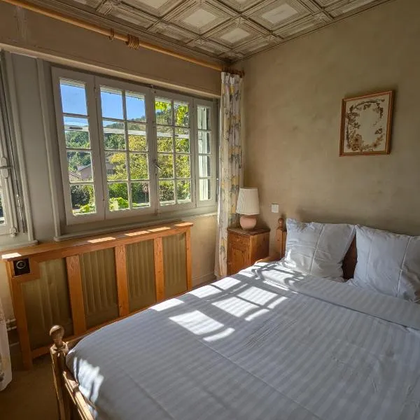 Auberge Des Chasseurs, hotel in Échenevex