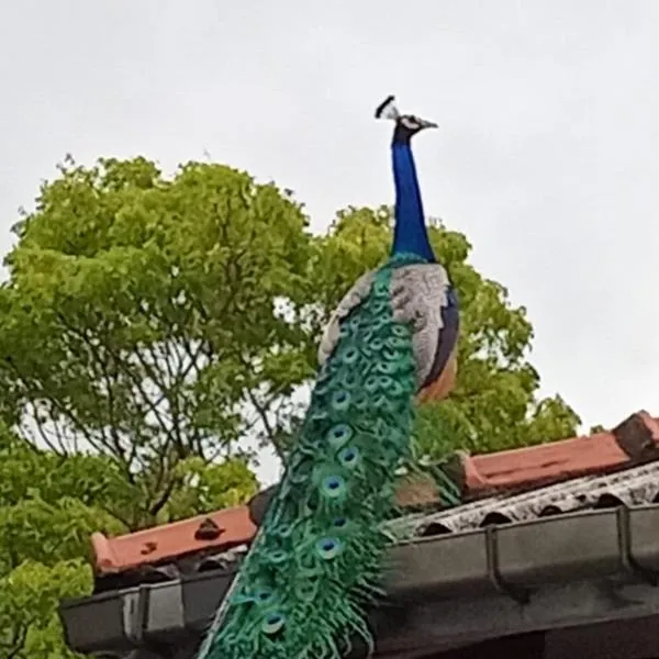 Ayu Kataragama, hotel u gradu 'Kataragama'