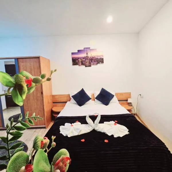 Pensiunea Red Rose Apartments, hotel en Timisoara