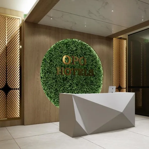 OPO Premium - Free Pickup delhi Airport, khách sạn ở New Delhi